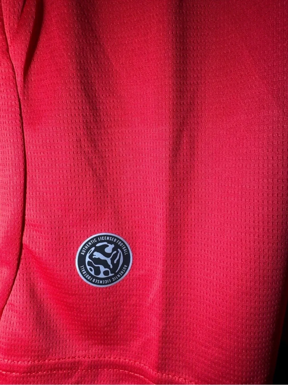 ✅NWT Morocco World Cup 2026 Home Soccer Jersey - Picture 5 of 7